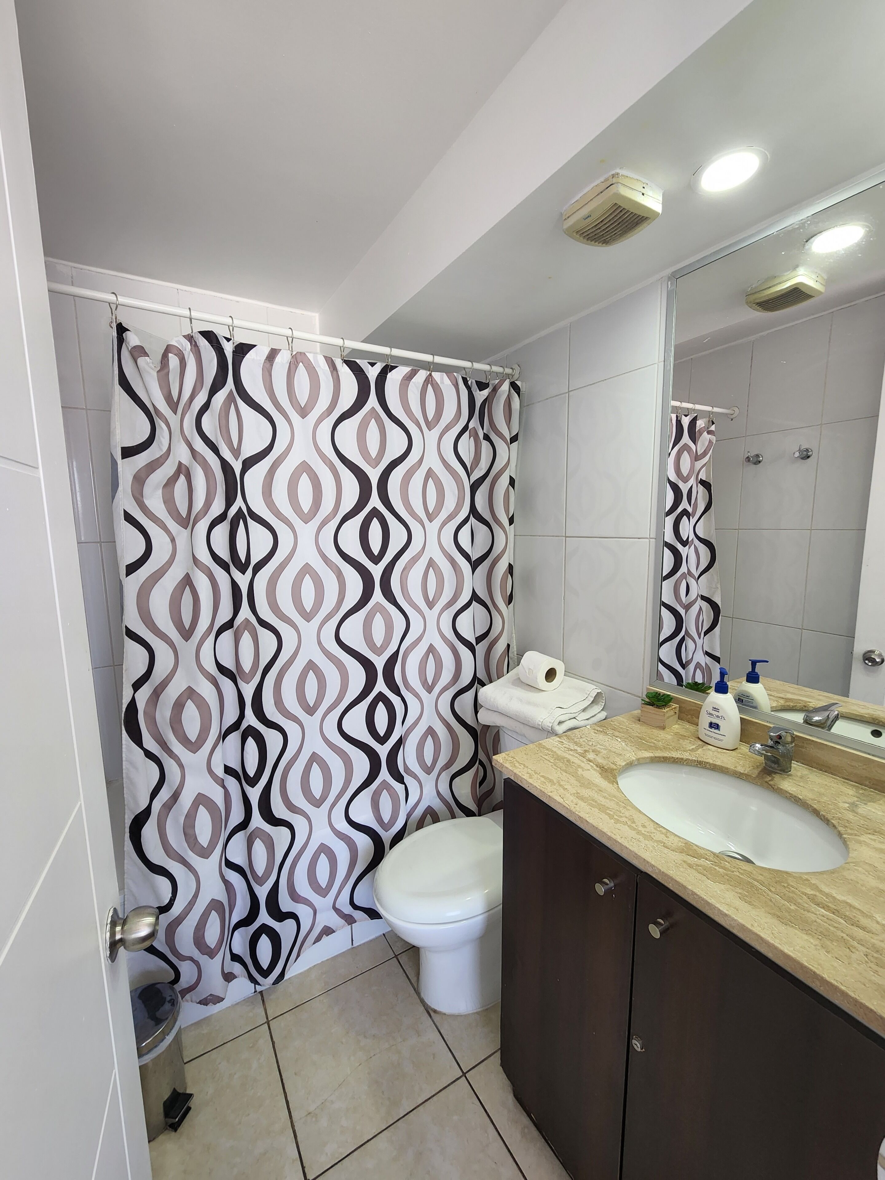 Une salle de bain avec un rideau de douche à motifs, des toilettes, un lavabo avec un miroir et une pomme de douche.