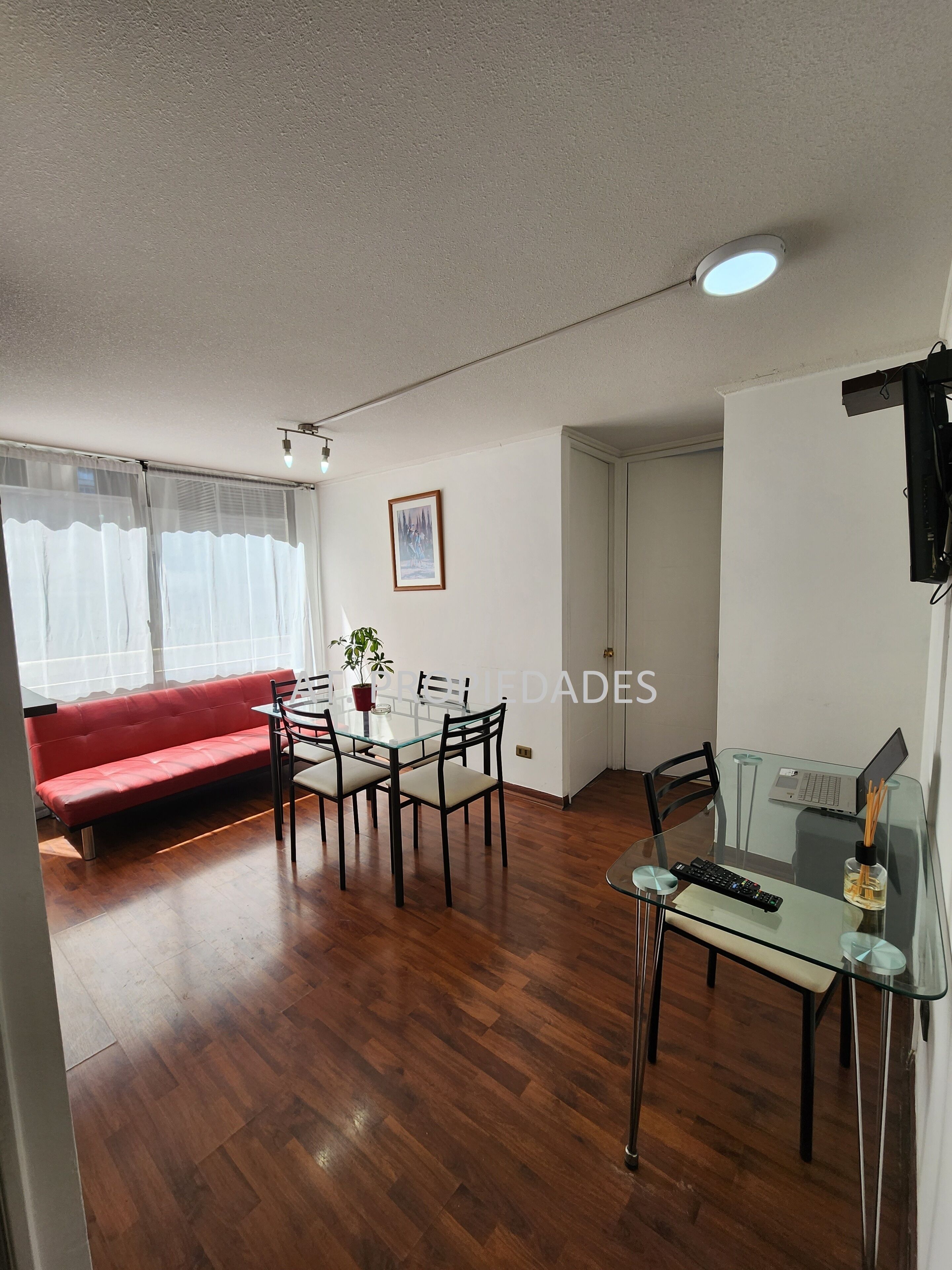 Basic Apartment | Living area
