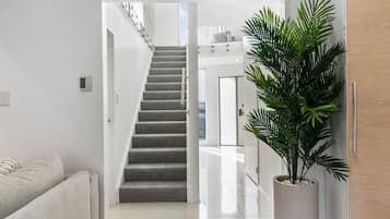 A modern interior with a staircase leading to an upper level, a potted plant, and a white sofa.