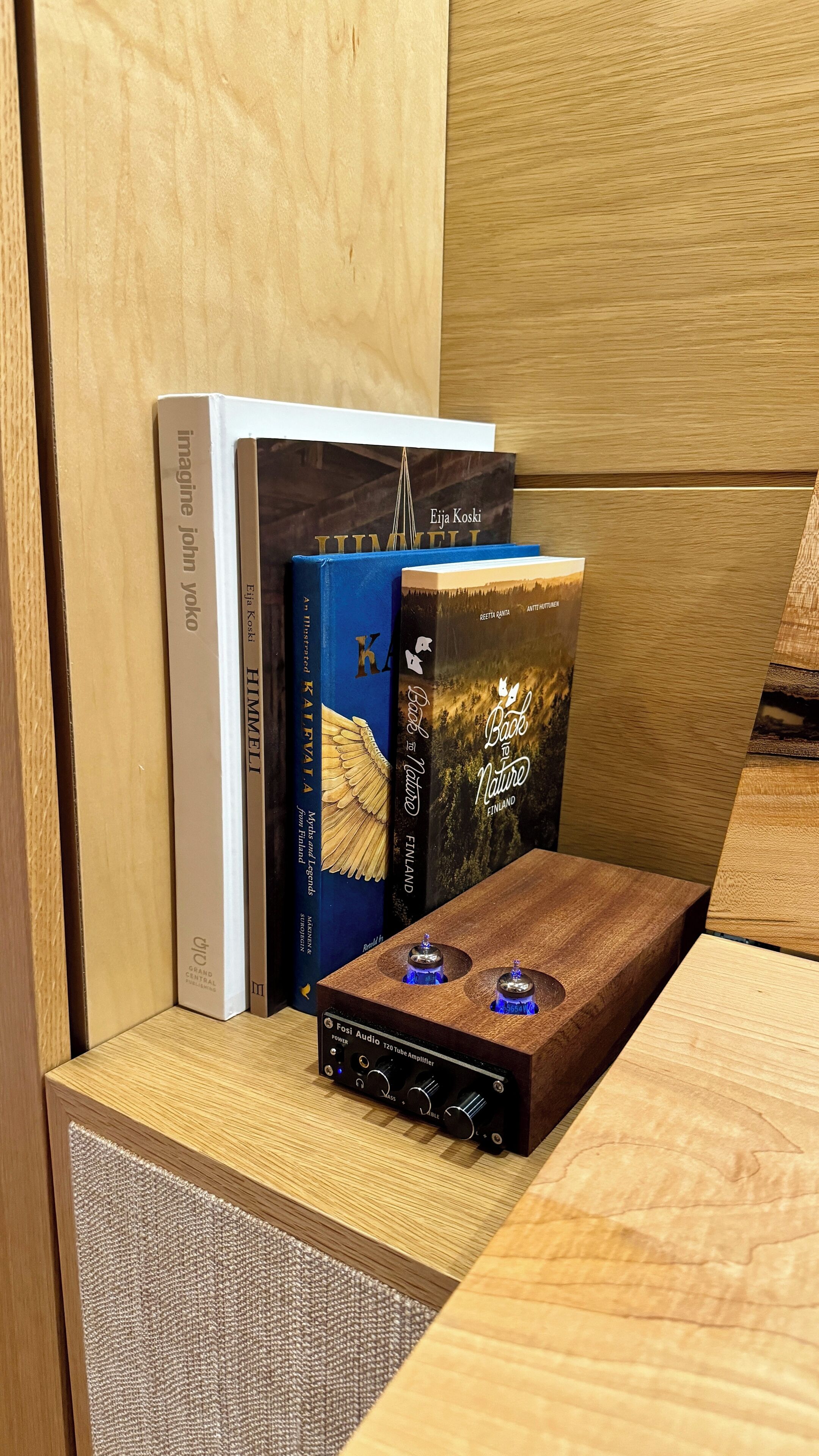 Een houten plank met boeken en een Fosi Audio 120 Tube Amplifier.