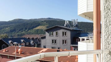 Deluxe Apartment, Mountain View | Balcony view