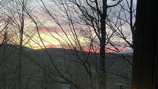Ein Sonnenuntergangsblick von einem Balkon mit kahl stehenden Bäumen und Lichterketten.