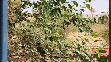 Panoramic-Dreibettzimmer, Nichtraucher, Bergblick | Blick auf den Garten