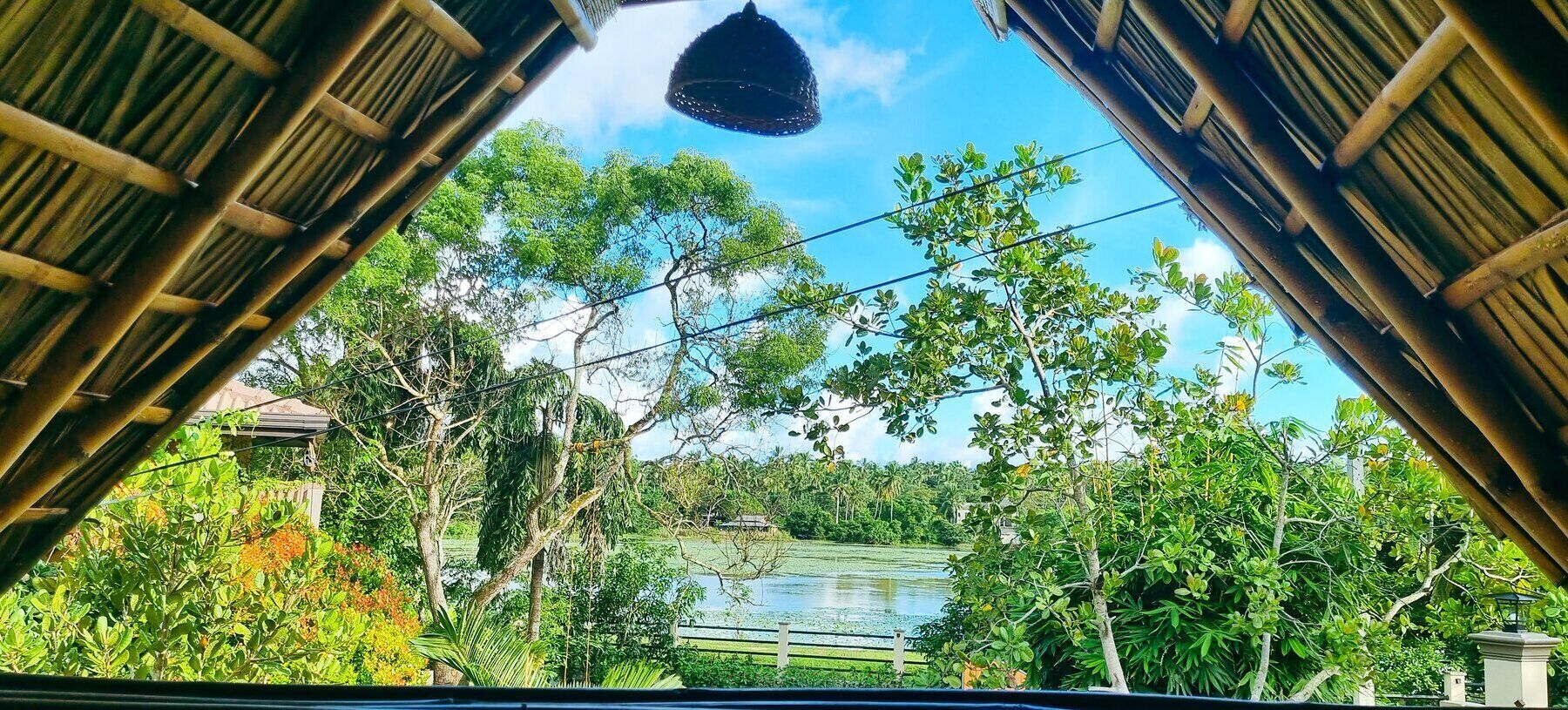 Deluxe Chalet, Lake View | View from room