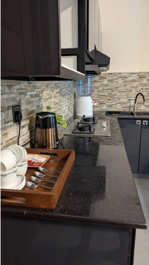 Classic Apartment, Balcony, Lake View | Private kitchen