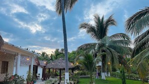 A garden with palm trees, a pathway, and a building with a thatched roof.