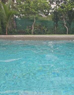 Pool - Ideal for year-round surfing, hiking, tour agencies to various national parks 1 (Jacó)