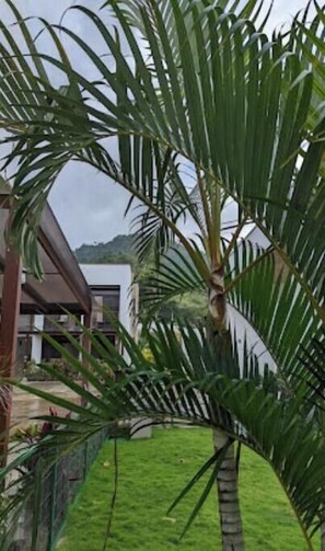 Relax in a secure, tropical oasis with a palm tree and modern building in the background.