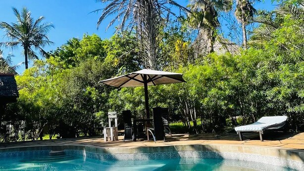 Piscina azul cristalina rodeada de exuberante follaje y palmeras, con una pérgola y sillones de descanso.