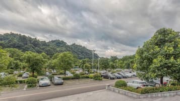 Free self parking
