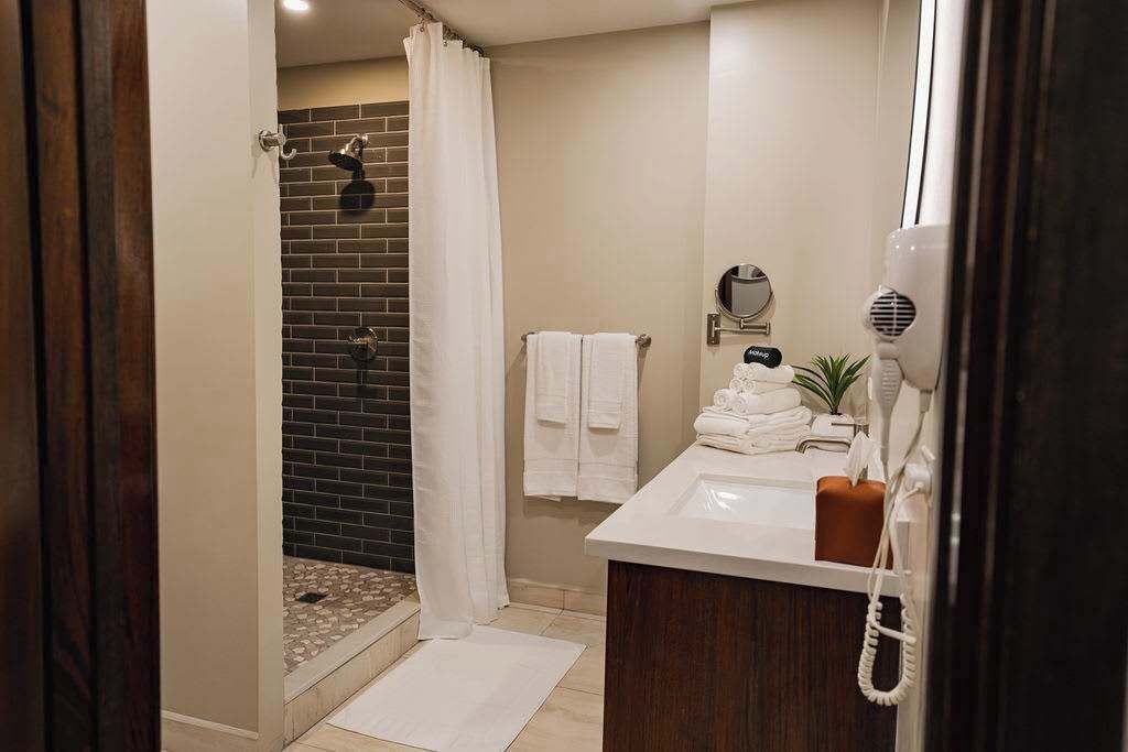 Shower, hair dryer, towels