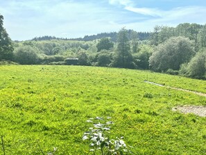 Pool - Fallow Coombe Glamping, Hidden escape in the South Downs National Park (Liss)