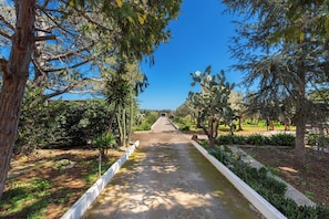 Property grounds - 3834 Villa La Bianca Ostuni by BarbarHouse (Ostuni)