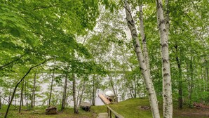 A wooden pathway leading to a dock by a lake, surrounded by birch trees. - Sullivan Lake Cabin w/ Pierz & Hillman Access! (Pierz)