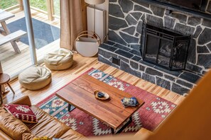 TV, fireplace, books