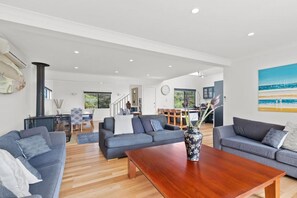 TV, fireplace, books