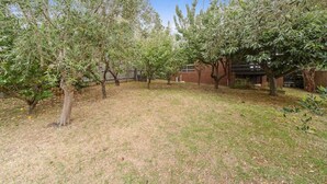Un jardín trasero con varios árboles y un césped.