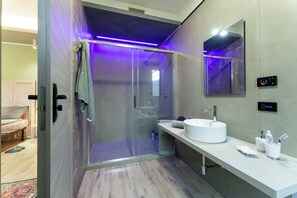 Regadera, secadora de cabello, bidet, toallas 