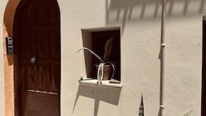 A potted plant in a window with a wooden door and a textured wall. - Apartment in the Heart of Tinos Town for 4 Guests (Tinos)
