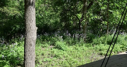 Peyper Fields Creekside Camp