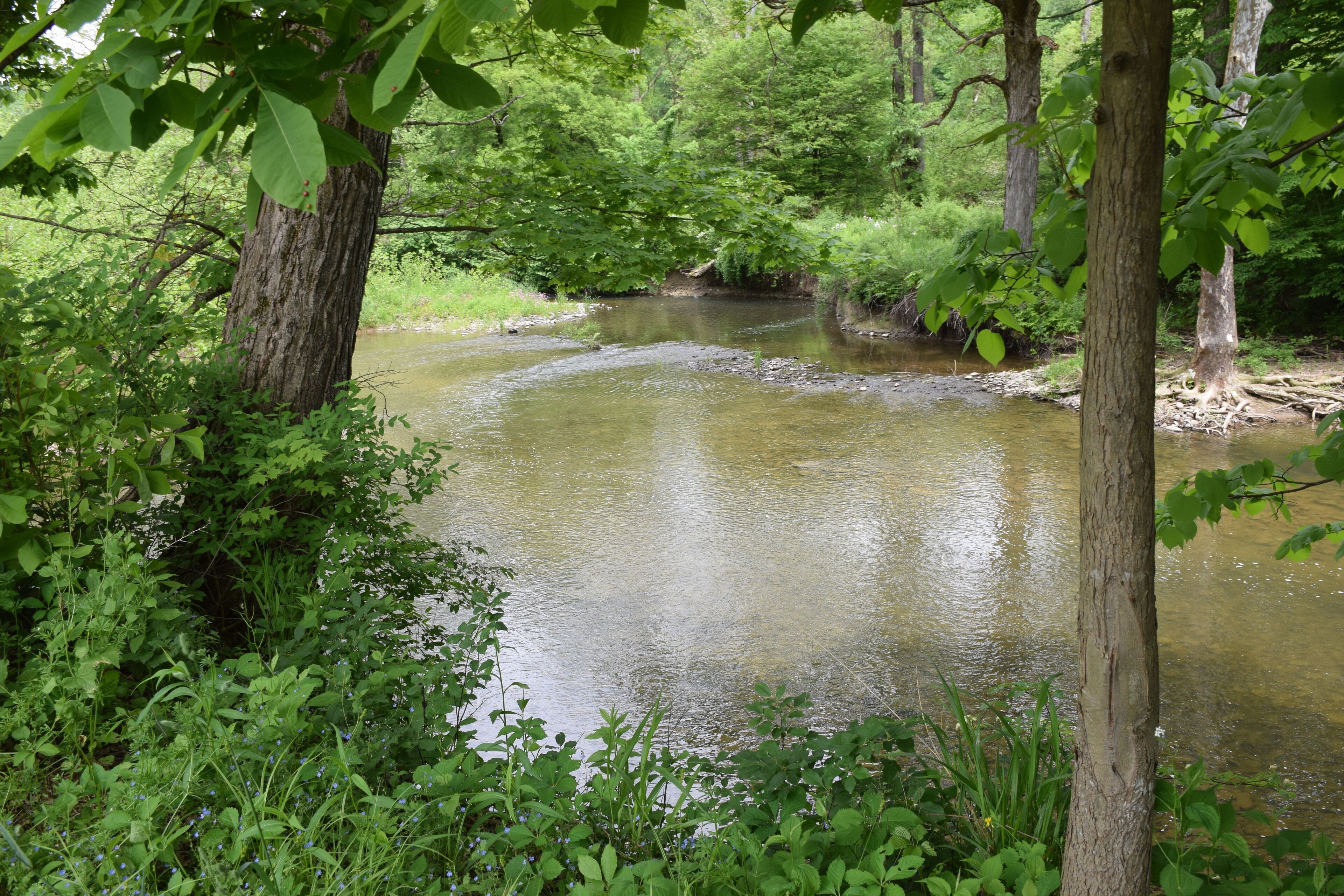 الإطلالة من المنشأة