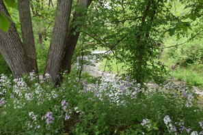 Down duvets, individually decorated, individually furnished, free WiFi - Peyper Fields Creekside Camp (Newark Valley)