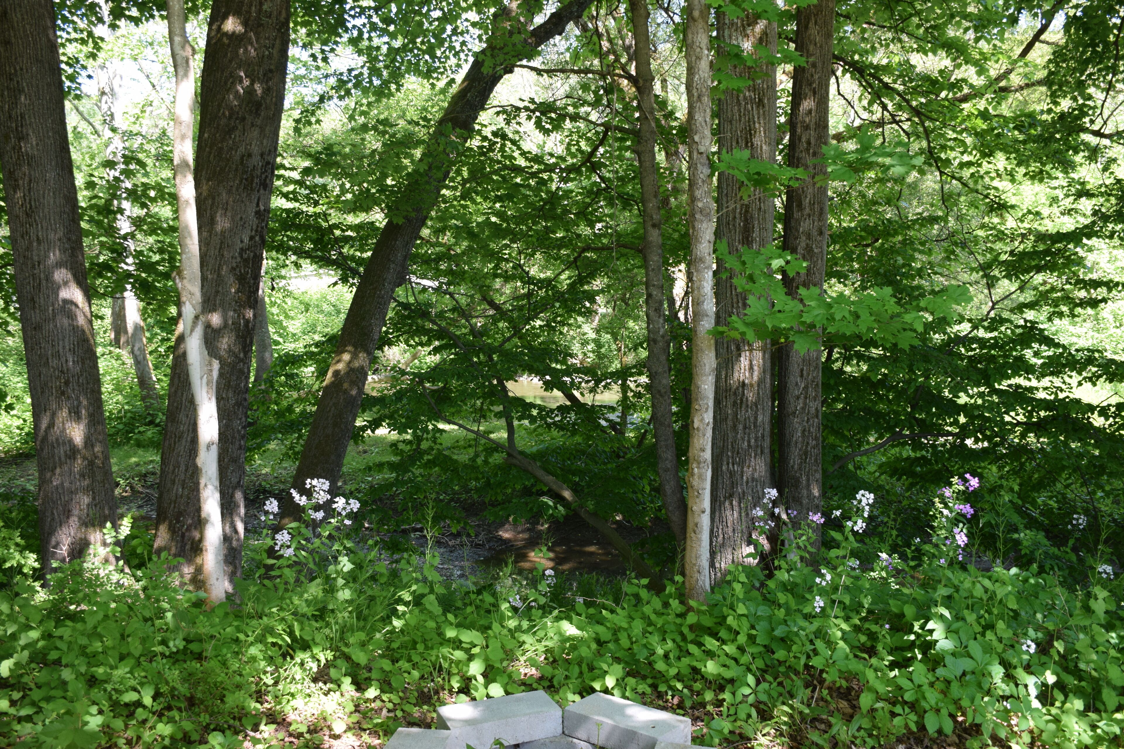 Cubrecamas, decoración personalizada, muebles diferentes y wifi gratis 