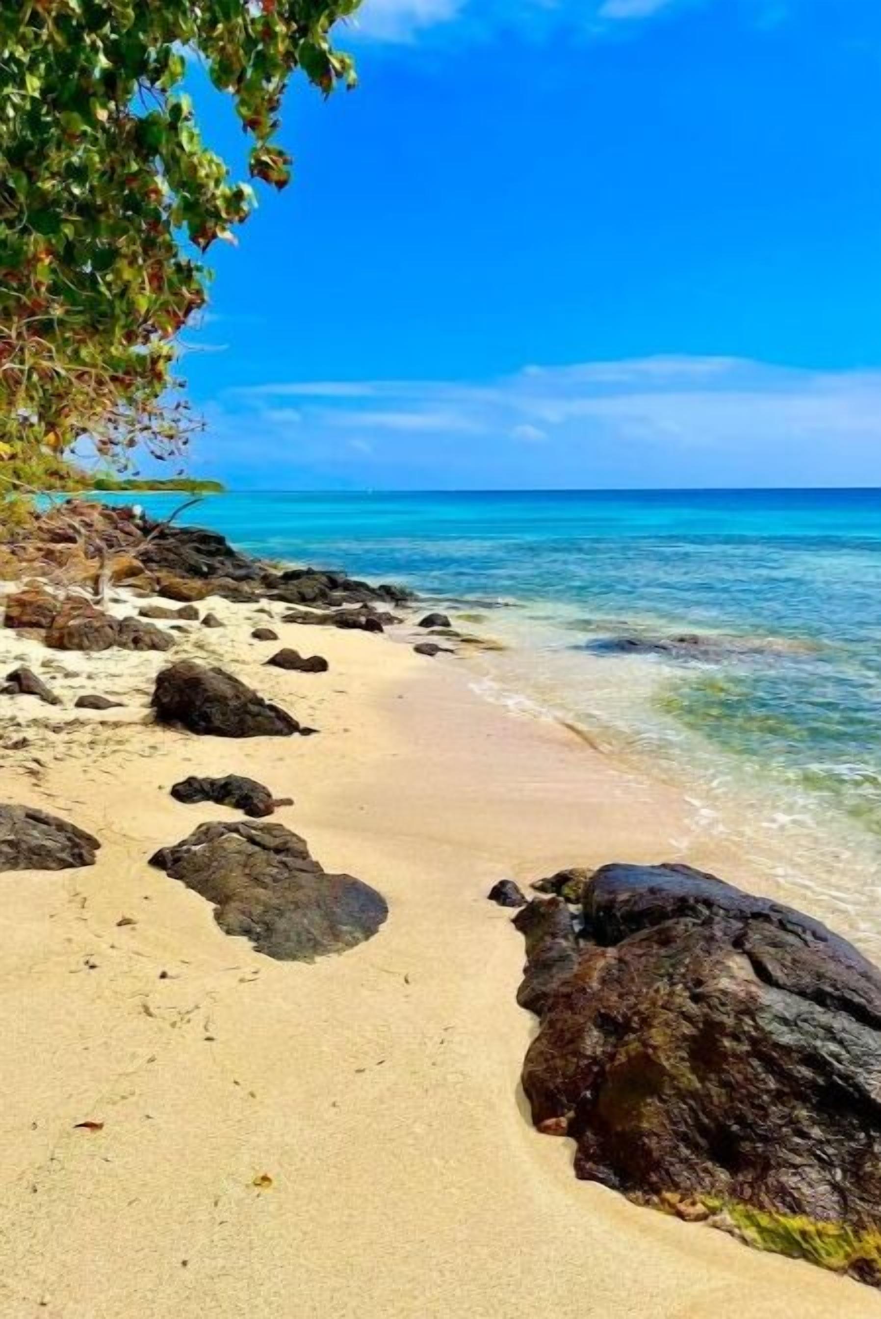 Sun loungers, beach towels