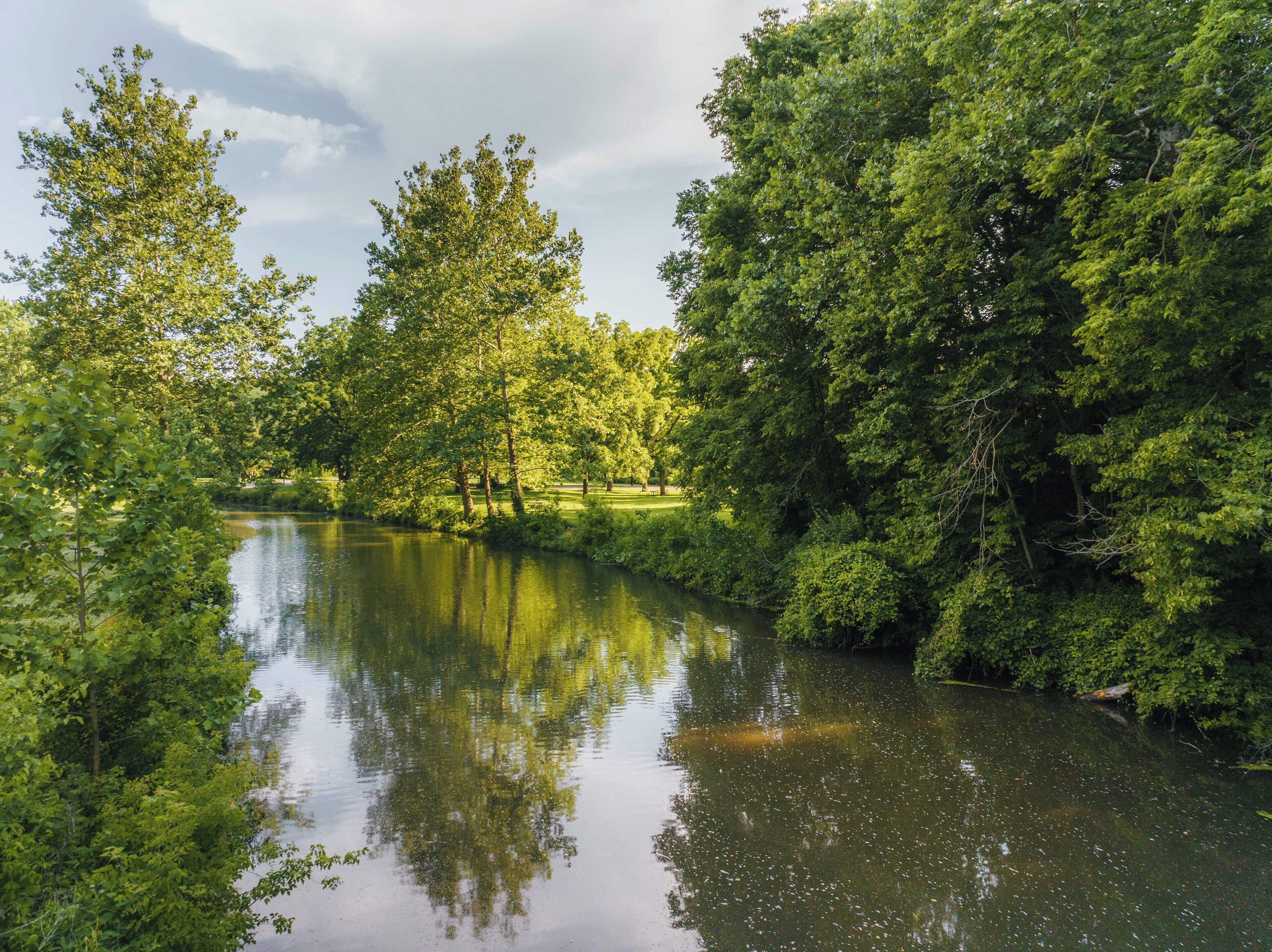 Un río sereno rodeado de abundante vegetación y árboles que se reflejan en las aguas tranquilas.