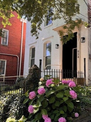 Classic building with a red brick accent, black metal gate, and a well-manicured hedge with hydrangea flowers.