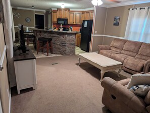 Living area - The Overlook at Robinson Point! (Mountain Home)