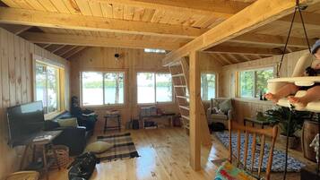 TV connectée, cheminée, lecteur de DVD, livres