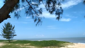 Ein Strand mit Sandküste, einer Rasenfläche und einem Baum.