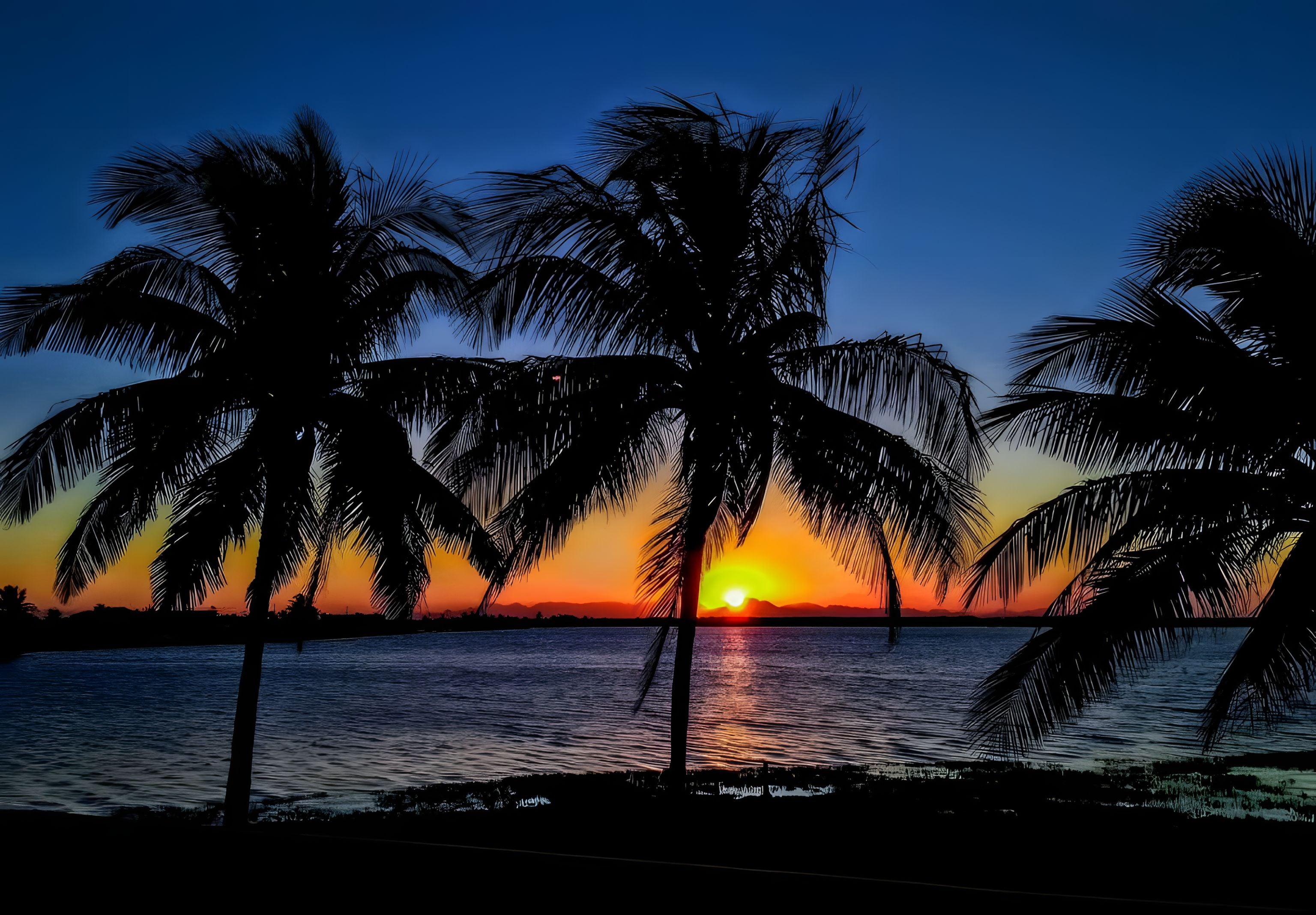 A sunset over water with palm trees silhouetted against the sky.
