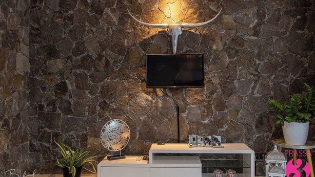 Un salon moderne avec un mur en pierre, un téléviseur fixé au mur, un meuble de rangement blanc et des objets décoratifs, notamment un globe terrestre et une plante en pot.