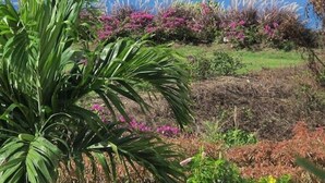 A coastal landscape with a view of the sea, lush greenery, and flowering shrubs. - Villa Vuemont - Peaceful 3 Bedroom Villa With Pool (Speightstown)