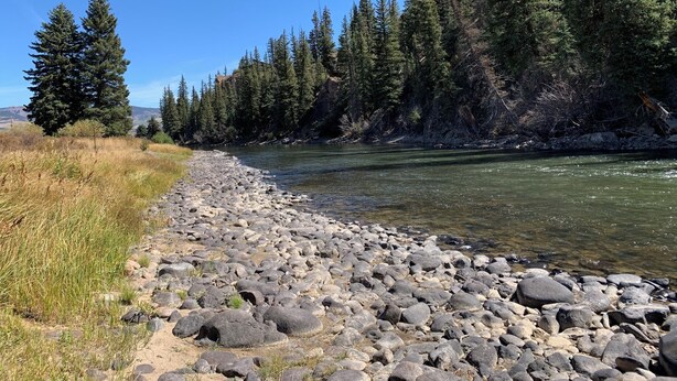 A riverbank with a rocky path, dense coniferous trees, and a clear blue sky. - Rel Rio Rentals (Creede)