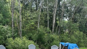 Area salotto esterna circolare con poltrone Adirondack e un braciere al centro, circondata da un prato e alberi fitti.