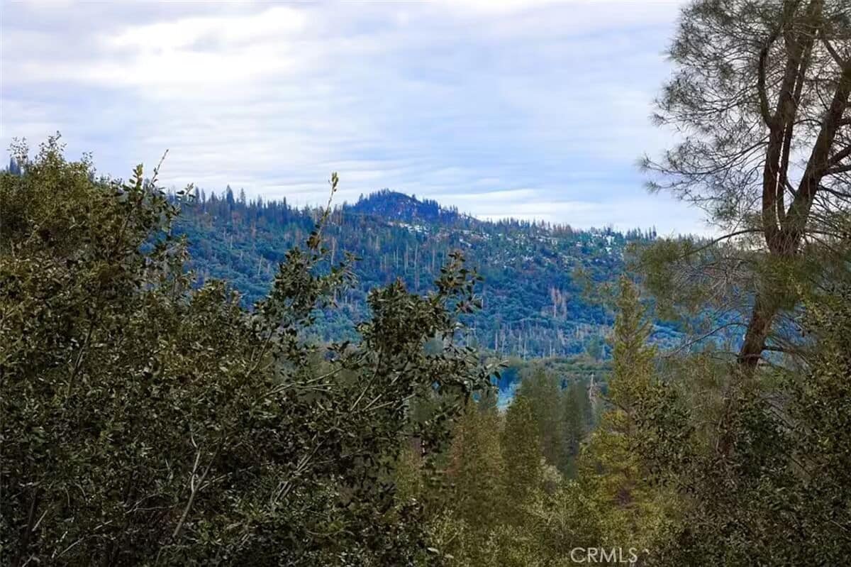 A mountainous landscape with dense forest and a clear sky.