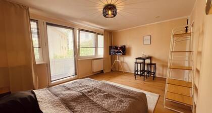 1 Zimmer Wohnung nahe Sanaklinikum Balkon Netflix