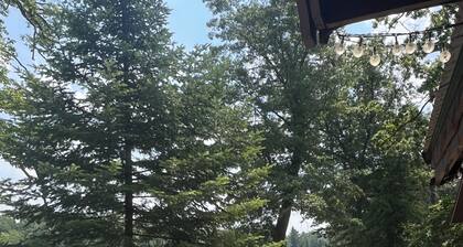 Bluegill Lake front, Up North, cozy peaceful getaway. 2-bedroom cabin. Rustic.