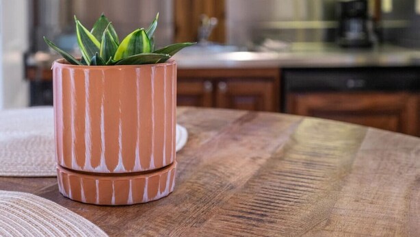 Een keuken met houten kastjes, een magnetron en een potplant op een houten tafel.