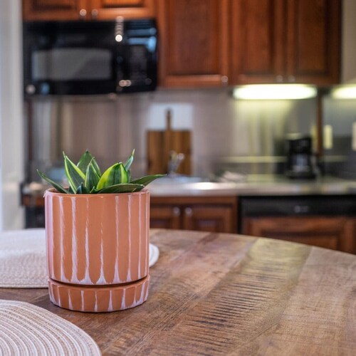 Main St Lexington Modern Loft APT, walk to WLU VMI