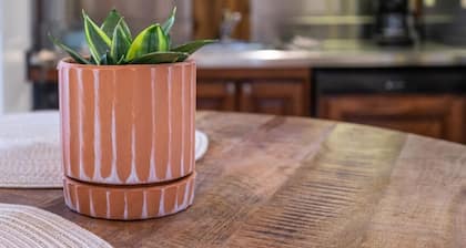 Main St Lexington Modern Loft APT, walk to WLU VMI