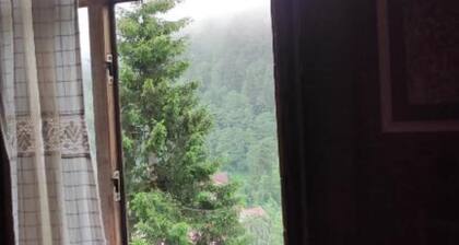 Cozy villa in enjoyable Rize with WiFi