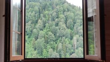 1 間睡房、熨斗/熨衫板、Wi-Fi、床單