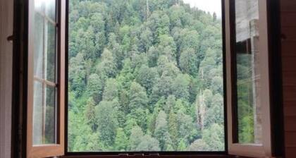 Charming villa with WiFi in beautiful Rize