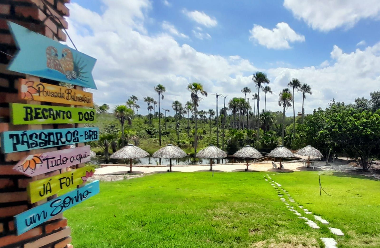 A pathway leading to a pool area with palm trees and thatched umbrellas.