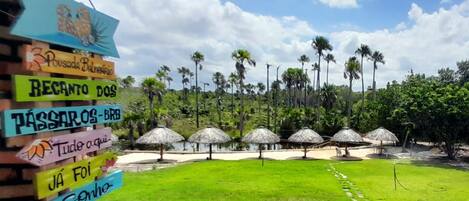 A pathway leading to a pool area with palm trees and thatched umbrellas.