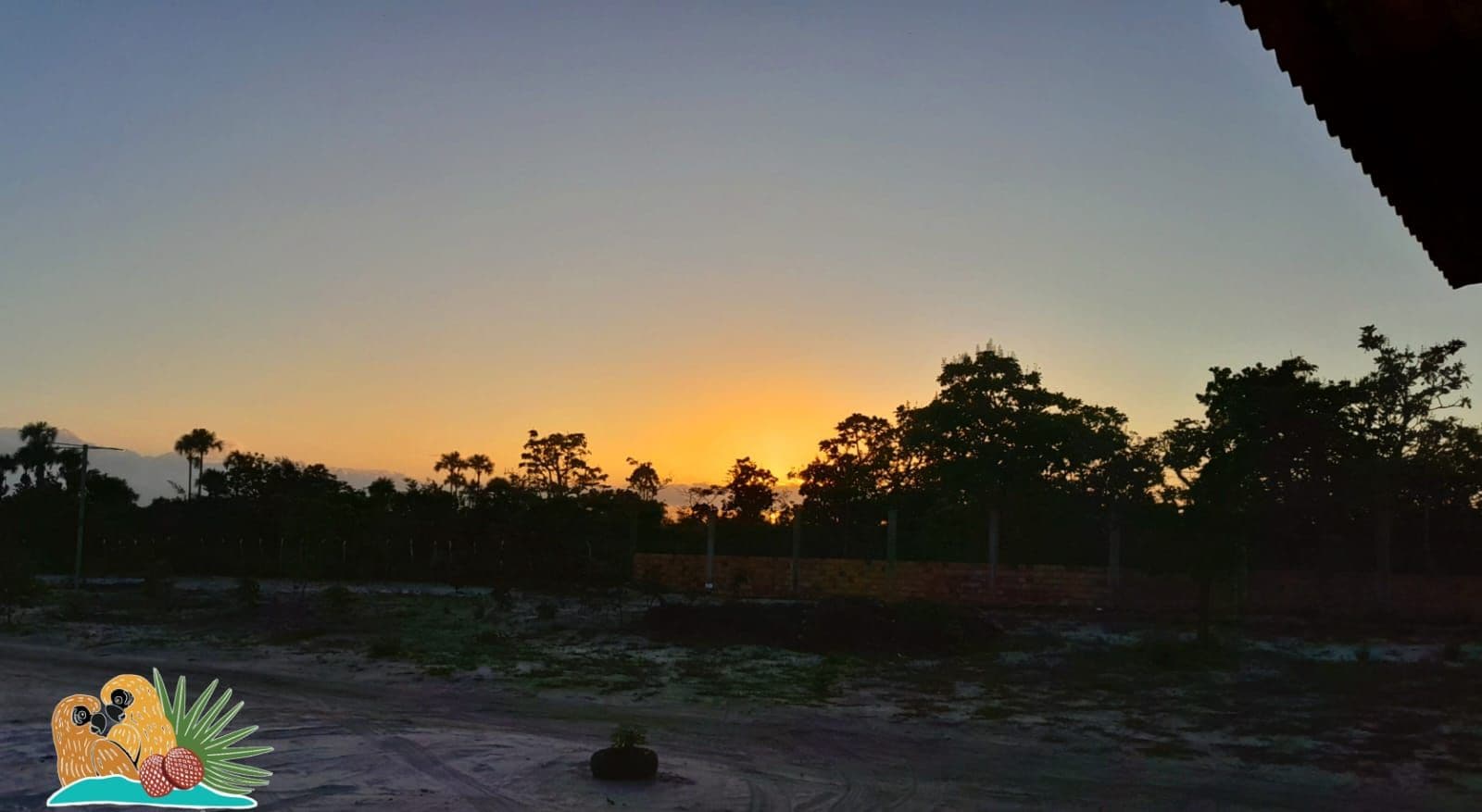 A sunset view with trees and a dirt path.